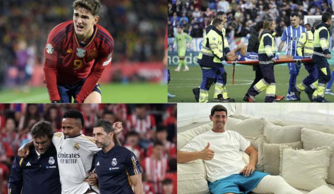 归化现象引 归化现象引